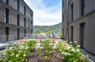Wohnung kaufen in 79183 Waldkirch, 3.Obergeschoss - Wohnung B09