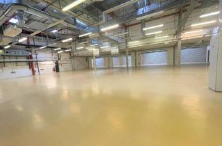 Büro zu mieten in 06766 Bitterfeld-Wolfen, große Lagerhallen im Industriegebiet "Q-Park" in Thalheim (optional auch mit Büros)