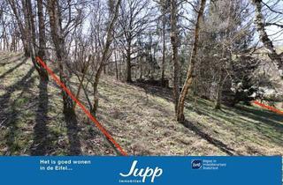 Grundstück zu kaufen in 54552 Mehren, Baugrundstück mit Hanglage und Baumbestand, dreieckiger Zuschnitt, im Wochenendhausgebiet Mehren