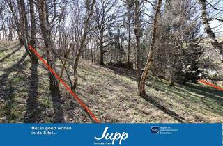 Grundstück zu kaufen in 54552 Mehren, Baugrundstück mit Hanglage und Baumbestand, dreieckiger Zuschnitt, im Wochenendhausgebiet Mehren