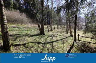 Grundstück zu kaufen in 54552 Mehren, Baugrundstück mit Hanglage und trapetzförmigem Zuschnitt, im Wochenendhausgebiet„Im Hasental“ Mehren
