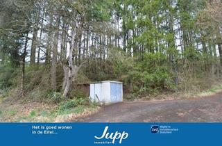 Grundstück zu kaufen in 54552 Mehren, Baugrundstück mit Hanglage, Baumbestand, trapezförmiger Zuschnitt, im Wochenendhausgebiet Mehren 12