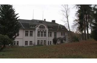 Villa kaufen in 08485 Lengenfeld, Villa aus der Jugendstilzeit im Vogtland