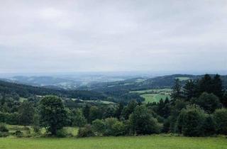 Gewerbeimmobilie kaufen in Schneiderberger Straße, 93470 Lohberg, Wald mit genehmigter Jagdhütte