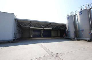 Gewerbeimmobilie mieten in 34277 Fuldabrück, Hallenflächen in Fuldabrück