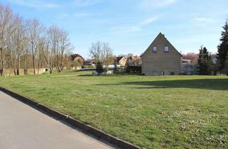 Grundstück zu kaufen in Kampweg, 39393 Am Großen Bruch, Bauland/ Grundstück in Am Großen Bruch OT Hamersleben bei Schöningen, Büddenstedt, Schöppenstedt