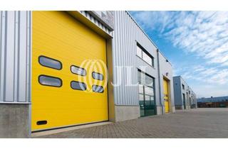 Gewerbeimmobilie mieten in 55457 Gensingen, Tolles Mietangebot: 4.000 m² Halle in Gensingen