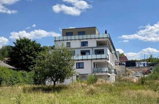 Wohnung kaufen in 96524 Neuhaus-Schierschnitz, Hochwertige, moderne 3-Zi.-Eigentumswohnung im EG - ideale Kapitalanlage