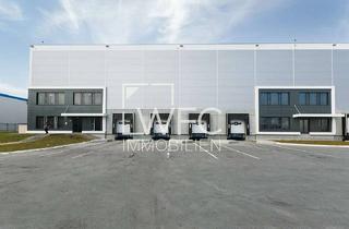Gewerbeimmobilie mieten in 91625 Schnelldorf, Multifunktionale Neubauhalle direkt an der A7 - 24/7 Logistik möglich