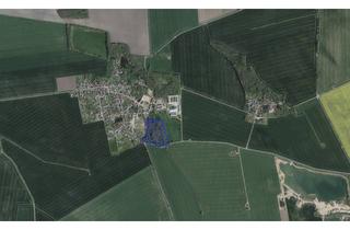 Grundstück zu kaufen in Straße Der Dsf, 06369 Großbadegast, *AKTION, REDUZIERTER PREIS* Große Waldfläche in Köthen (Anhalt) OT Merzien
