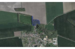 Grundstück zu kaufen in Wasserstadt, 06369 Köthen (Anhalt), Waldgrundstück in Köthen OT Merzien