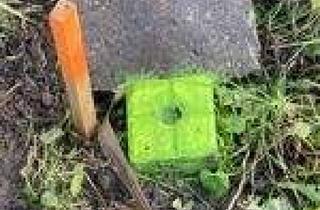 Grundstück zu kaufen in Heinrich-Von-Züthpen-Straße 15, 25764 Wesselburen, Wesselburener Marsch