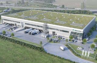 Gewerbeimmobilie mieten in 68723 Plankstadt, *Exklusiv im Alleinauftrag* Projektierter Neubau einer Industrieimmobilie von PROLOGIS in Plankstadt