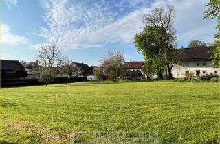 Grundstück zu kaufen in 84416 Taufkirchen (Vils), Attraktives Grundstück zur großzügigen Bebauung in zentraler Lage von Taufkirchen (Vils)