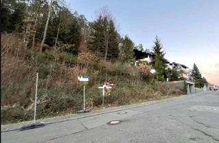 Grundstück zu kaufen in 67475 Weidenthal, Ein schönes Hanggrundstück inmitten vom Pfälzer Wald in 67475 Weidenthal