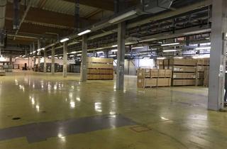 Büro zu mieten in 06766 Bitterfeld-Wolfen, Hallen- und Bürofläche zur Miete | PROVISIONSFREI