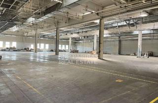 Gewerbeimmobilie mieten in 88630 Pfullendorf, PRODUKTION-/LAGERHALLE MIT BÜROTEIL
