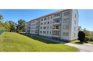 Wohnung mieten in 09366 Stollberg, Eichbuschsiedlung | "Klein aber fein" | 2-Raumwohnung