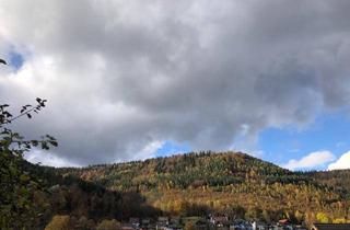 Grundstück zu kaufen in 75323 Bad Wildbad, Wohnen im Schwarzwald - wo andere Urlaub machen!