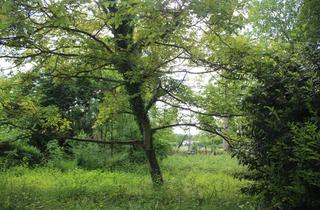 Grundstück zu kaufen in Förstchen 16, 42799 Leichlingen, Tolles Grundstück mit erweiterbarem 5-Familienhaus