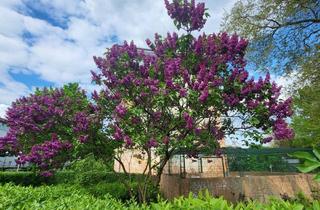 WG-Zimmer mieten in Stuttgarter Straße, 12059 Berlin, Stuttgarter Straße, Berlin