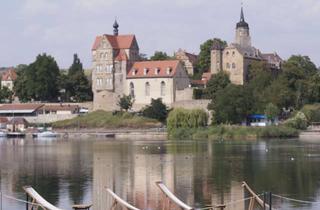 Grundstück zu kaufen in Schlossstraße 11g, 06317 Seeburg, Bauland mit B-Plan in Seeburg, Schlossstraße