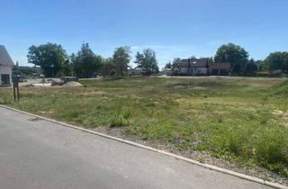 Grundstück zu kaufen in 04774 Dahlen, Dahlen: idyllische Lage - letztes Grundstück