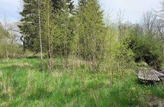 Grundstück zu kaufen in 04741 Niederstriegis, Wunderschönes Grundstück mit altem Baumbestand zur Entwicklung