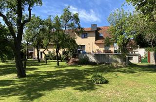 Haus kaufen in Riesebergstraße 11 a, 39649 Mieste, HIER STECKT POTENZIAL! Top Garten mit POOL + SONNENTERRASSE!!!!