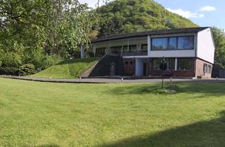 Haus kaufen in 56329 Sankt Goar, Blick zur Burg Maus - parkähnliches Grundstück mit Wohnhaus und vielfältigen Nutzungsmöglichkeiten