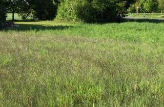 Grundstück zu kaufen in 96472 Rödental, Neubau eines EFH mit Doppelgarage