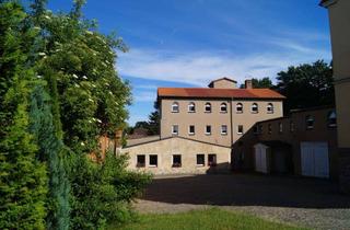 Mehrfamilienhaus kaufen in 09212 Limbach-Oberfrohna, +++ Aus Alt mach Neu, Fabrik mit Mehrfamilienhaus und Lagerhalle +++