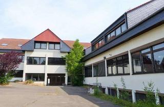 Gewerbeimmobilie kaufen in 35315 Homberg, Große Gewerbeeinheit in Homberg (Ohm)
