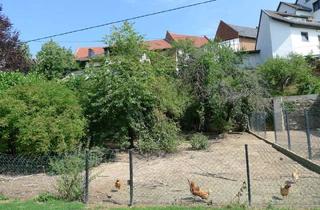 Grundstück zu kaufen in 65510 Idstein, Baugrundstück im alten Ortskern von Walsdorf, sehr ruhig und idyllisch