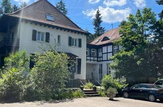Villa kaufen in Hinterweidenthal 66999, 66999 Hinterweidenthal, Herrliche Villa im Grünen mit Galerie und Fachwerkhaus, ein Platz der 1000 Möglichkeiten