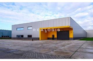 Büro zu mieten in 77656 Offenburg, Ca. 2.500 qm Lager-/ Produktionsfläche inklusive Bürotrakt zu vermieten!