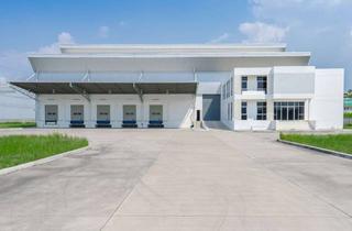 Gewerbeimmobilie mieten in 73084 Salach, Logistik- oder Produktionshalle - hochmoderne Hallenfläche direkt an der B10
