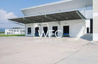 Gewerbeimmobilie mieten in 73084 Salach, Logistik- oder Produktionshalle - hochmoderne Hallenfläche direkt an der B10