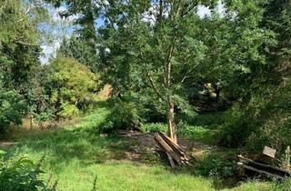 Grundstück zu kaufen in 01683 Nossen, Grundstück in Wolkau mit altem Baumbestand