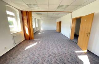 Gewerbeimmobilie mieten in Laubaner Straße 47, 02708 Löbau, Geräumiges Gewerbe im Erdgeschoss eines ruhigen Mehrfamilienhauses, am Ortseingang von Löbau!