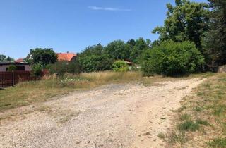 Grundstück zu kaufen in 04610 Meuselwitz, Meuselwitz: Baulücke in schöner Siedlungslage, ca. 430 m² groß!!!