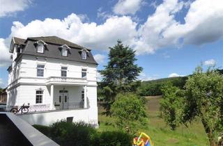 Villa kaufen in 36364 Bad Salzschlirf, Unikat! Herrschaftliche Villa in unverbaubarer Traumlage - Bad Salzschlirf