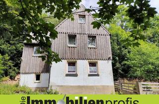 Einfamilienhaus kaufen in 95131 Schwarzenbach am Wald, 1109 - Feriendomizil: Charmantes Einfamilienhaus im Frankenwald