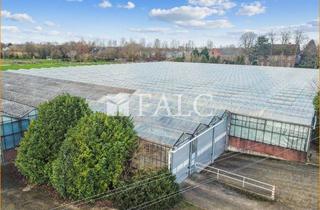 Gewerbeimmobilie kaufen in 46459 Rees, ursprünglicher Gartenbaubetrieb zur gleichen oder anderweitigen Nutzung