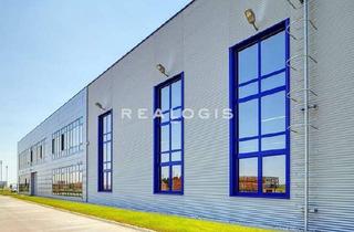 Büro zu mieten in 93055 Ostenviertel, Regensburg Ost, ca. 3.300 m² Neubau Lager-/ und Produktionsfläche zzgl. Büro zu vermieten
