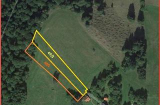 Grundstück zu kaufen in 38700 Braunlage, ***Bergwiese mit 3.540 m² in Braunlage-Hohegeiß, Am Brande***PROVISIONSFREI