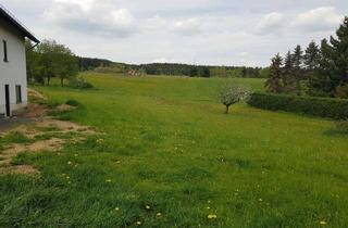 Grundstück zu kaufen in 56767 Kötterichen, Baugrundstück in idyllischer Lage in der Vulkaneifel