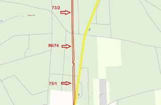 Grundstück zu kaufen in 39279 Loburg, Drei land- und forstwirtschaftliche Flächen zu verkaufen!