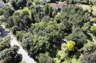 Grundstück zu kaufen in 08523 Siedlung Neundorf, ++ unglaubliches Potential - 15.000 m² Grundstück mit schönem Baumbestand ++