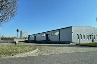 Gewerbeimmobilie mieten in Am Zeugamt, 04758 Oschatz, Lager- und Logistikhalle (TO 22) provisionsfrei mit guter Verkehrsanbindung